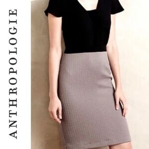 Paper Crown Two-Toned Sheath Dress (Black/Taupe) 0P